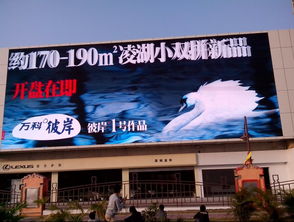 深圳香蜜湖日亚户外LED显示屏 220平方米的视觉巨幕引领城市新风尚